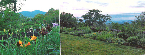 Garden, landscaping and North Carolina Mountain Views from Bear Wallow Springs